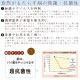 [MD-0114] ����Ʋ Ƽ�ڤޤ��������� ��Ƽ���ե饤�ѥ� 22cm IH�Բ� ���ե饤�ѥ� ���������� ������ �� �������