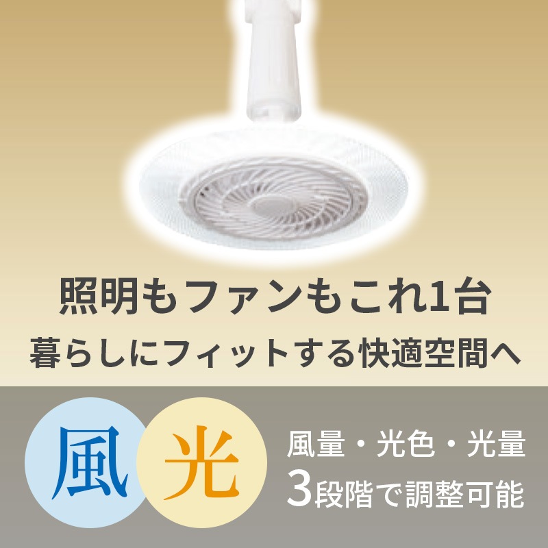 [DLF-H800WH] �ե����դ�LED���� ���ݥ�����󥰥����ס�