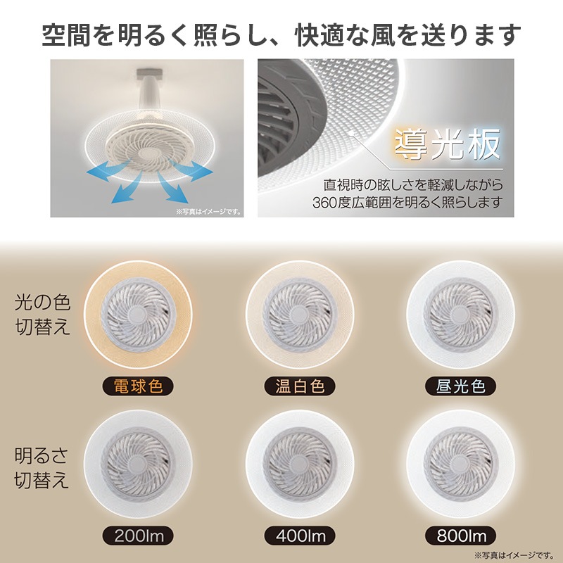 [DLF-H800WH] �ե����դ�LED���� ���ݥ�����󥰥����ס�