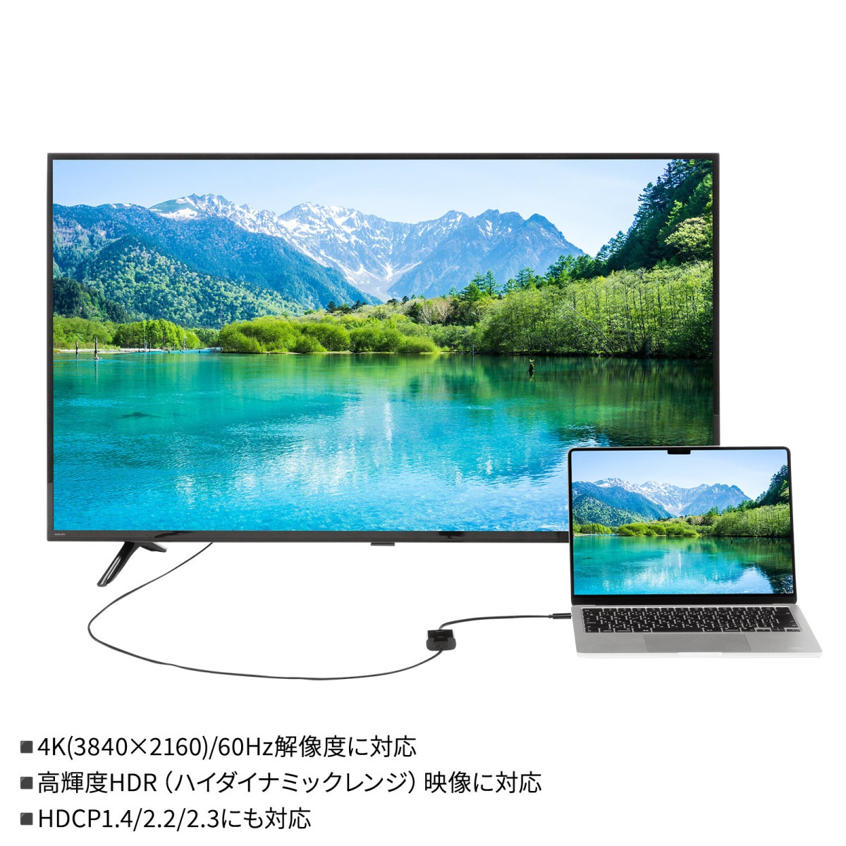 [AD-ALCHDR04TK] USB Type C-HDMI�Ѵ������ץ�(4K/60Hz/HDR���ʰץѥå�������)