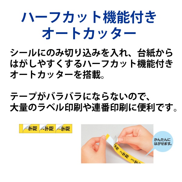 [KL-M7] NAMELAND(�͡������)