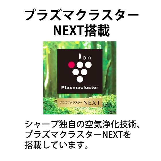 [IG-MX15-B] ץ饺ޥ饹ȯ ץ饺ޥ饹NEXT ֥åϡ