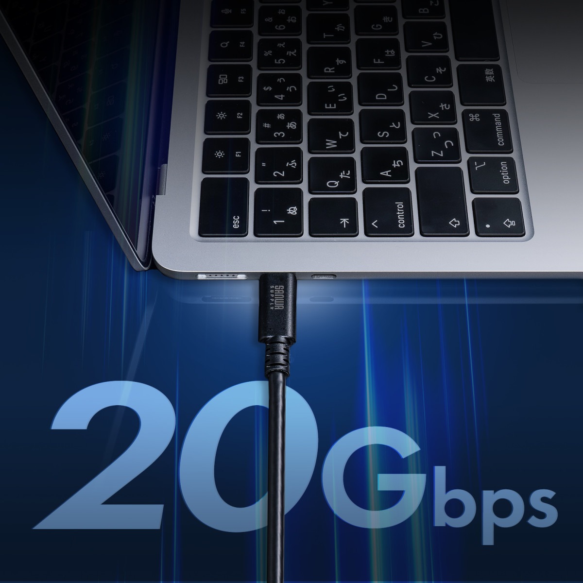 [KU-20GCCPEDSL20] USB 20Gbps Type-C�����֥�(�ǥ奢�륹����塼���å���240W��2m)