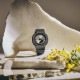 [GMA-P2126W-8AJR] G-SHOCK ��ݽ����ǡ���ǰ��ǥ��