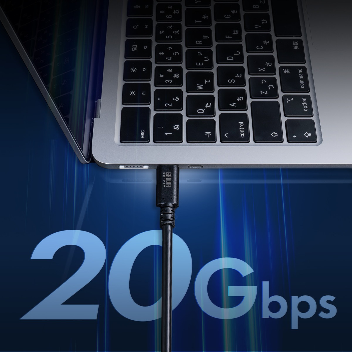 [KU-20GCCPESSL10] USB 20Gbps Type-C֥(󥰥륹塼å240W1m)
