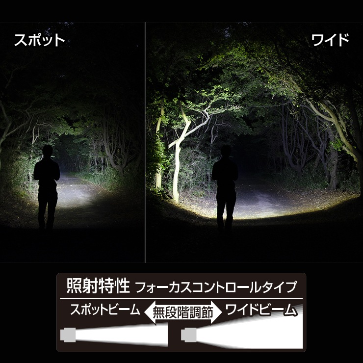 [RX-286R] REXEED���꡼�� ���ż��ϥ�ǥ��饤�� 600lm��