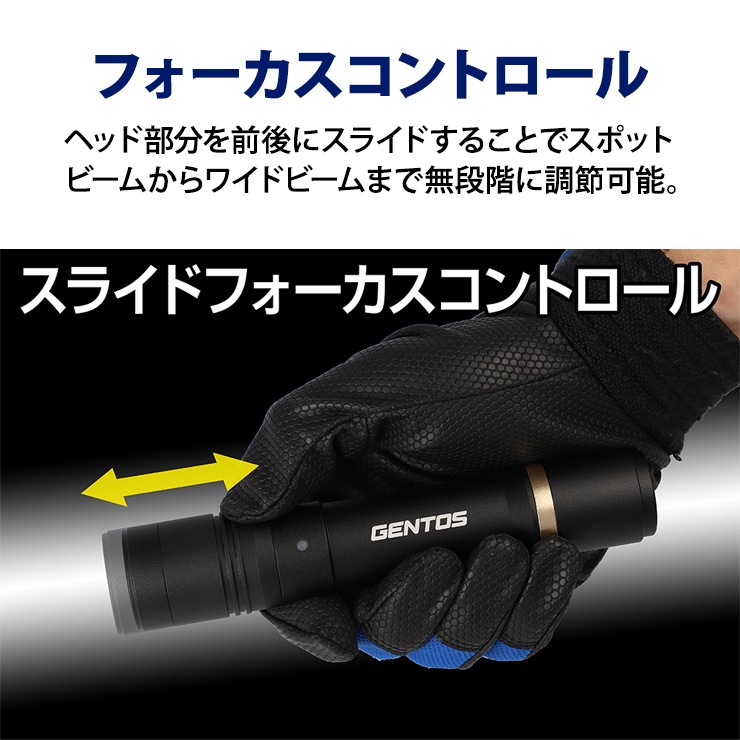 [RX-286R] REXEED���꡼�� ���ż��ϥ�ǥ��饤�� 600lm��