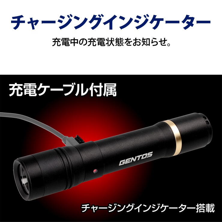 [RX-286R] REXEED���꡼�� ���ż��ϥ�ǥ��饤�� 600lm��