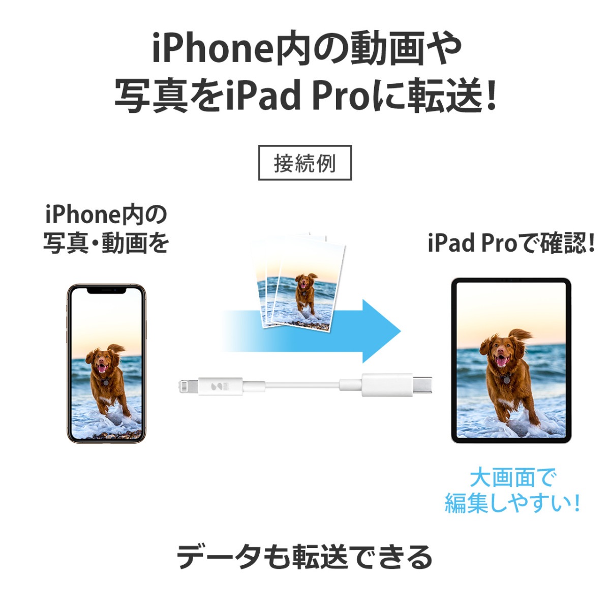 [KB-IPLC10W] �饤�ȥ˥� Type C�����֥�(1m���ۥ磻��)