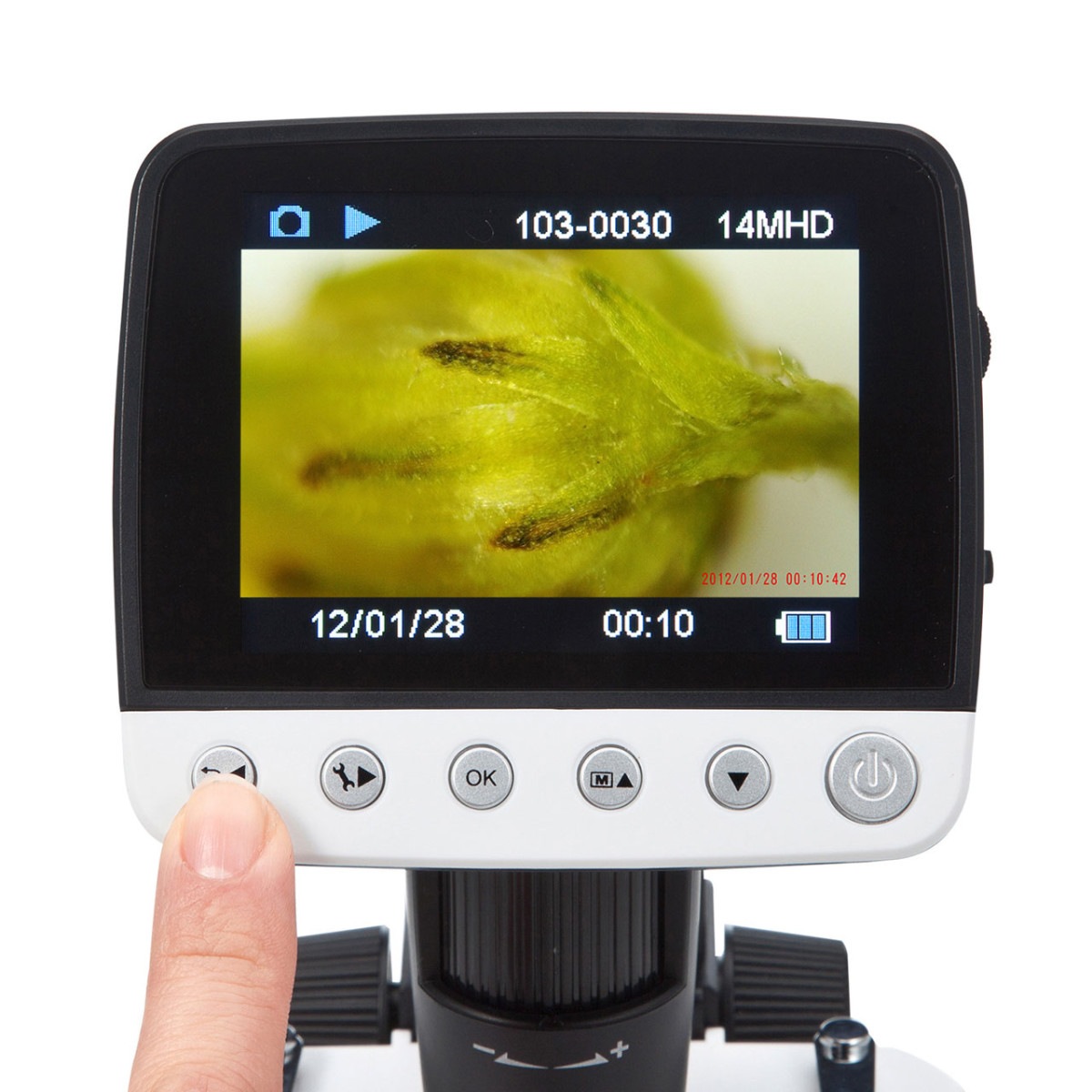 [LPE-06BK] ǥ븲 إ500