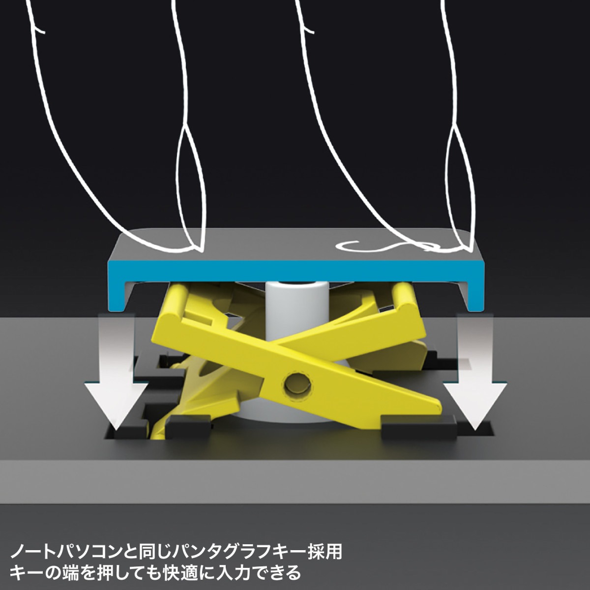 [NT-WL27BK] ɽ׻磻쥹ƥ󥭡