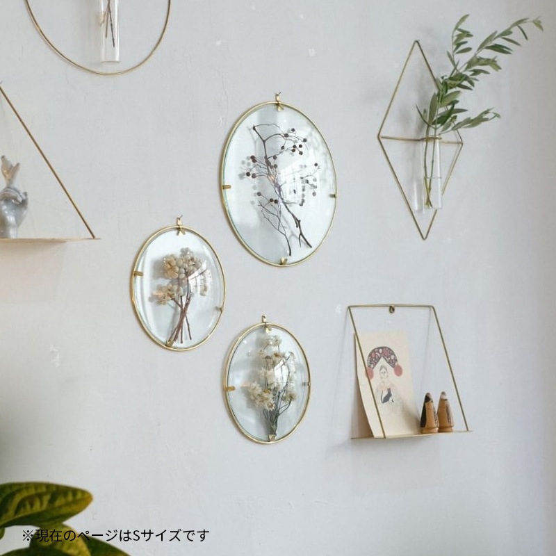 [4589824364940] PIKE Glass Dome Frame CLEAR S �饦��ɥե졼�� ���ꥢ������ ������ ��� ����ƥꥢ��