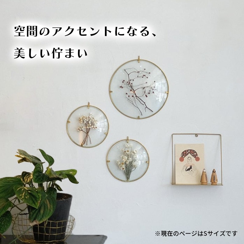 [4589824364940] PIKE Glass Dome Frame CLEAR S �饦��ɥե졼�� ���ꥢ������ ������ ��� ����ƥꥢ��