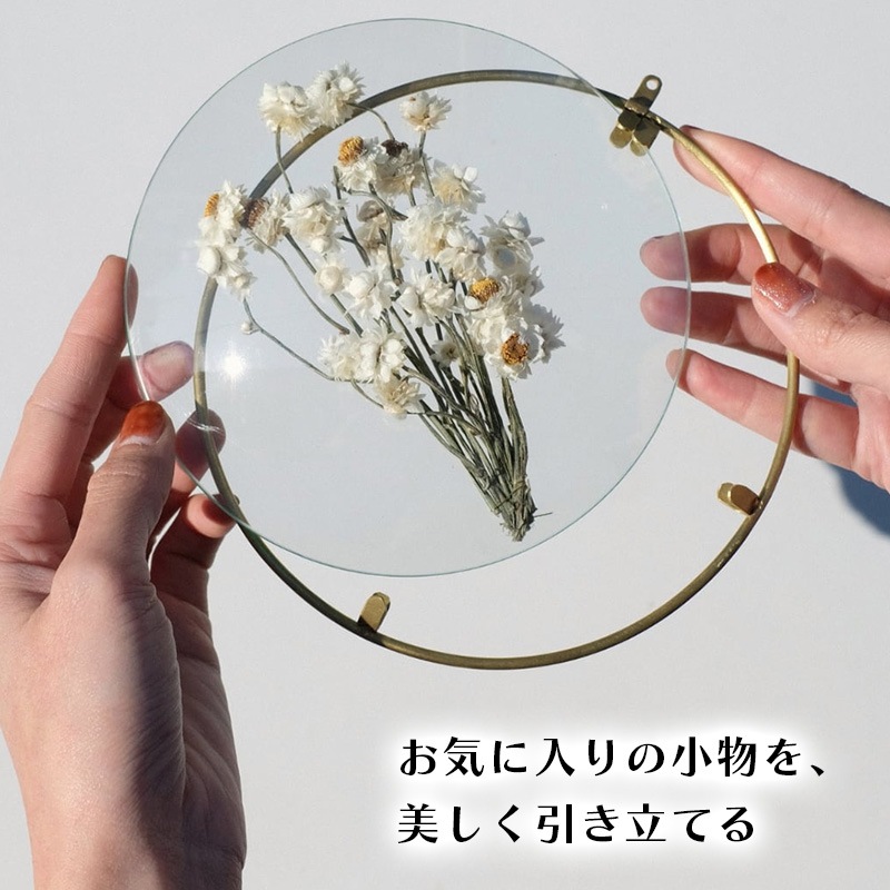 [4589824364940] PIKE Glass Dome Frame CLEAR S �饦��ɥե졼�� ���ꥢ������ ������ ��� ����ƥꥢ��