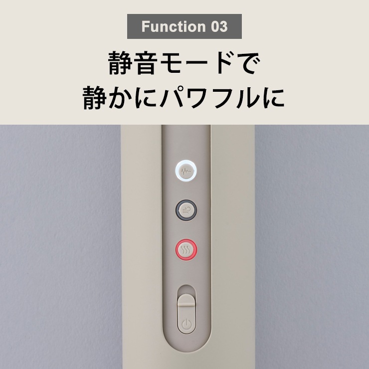 [FEN-002] �դȤ��絡 FOEHN 002 �ե����� �������॰�졼��