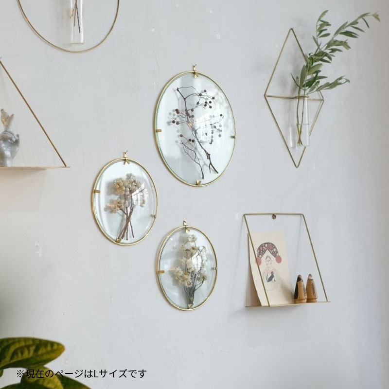 [4589824364957] PIKE Glass Dome Frame CLEAR L �饦��ɥե졼�� ���ꥢ������ ������ ��� ����ƥꥢ��