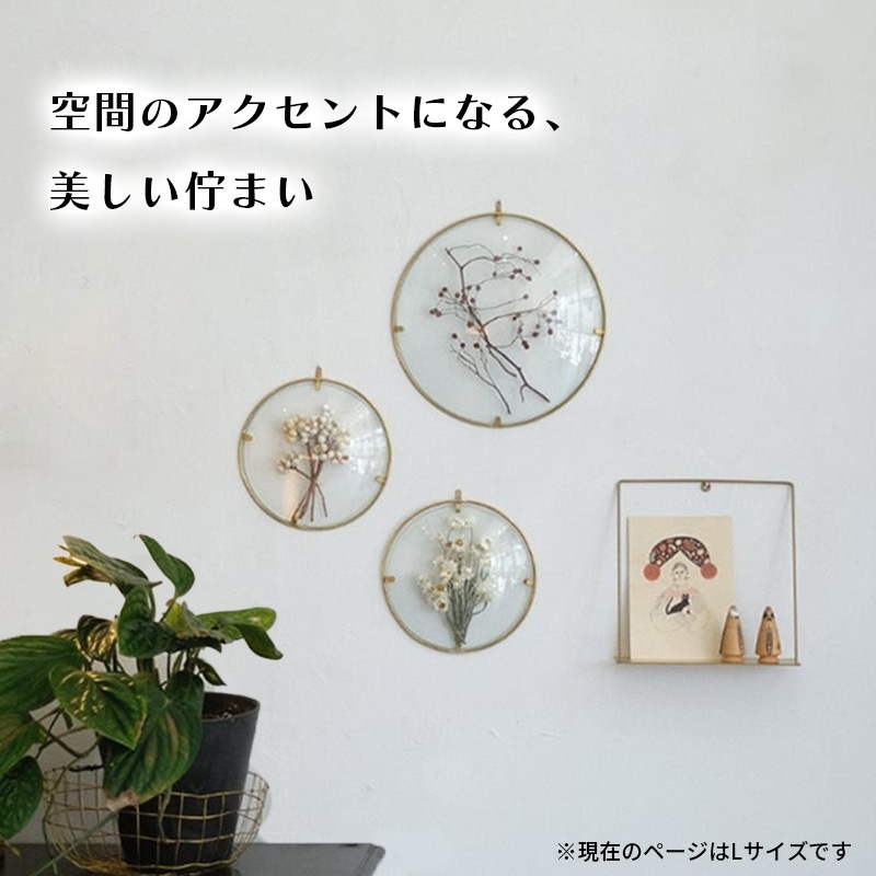 [4589824364957] PIKE Glass Dome Frame CLEAR L �饦��ɥե졼�� ���ꥢ������ ������ ��� ����ƥꥢ��