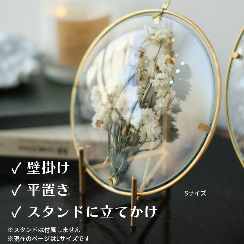 [4589824364957] PIKE Glass Dome Frame CLEAR L �饦��ɥե졼�� ���ꥢ������ ������ ��� ����ƥꥢ��