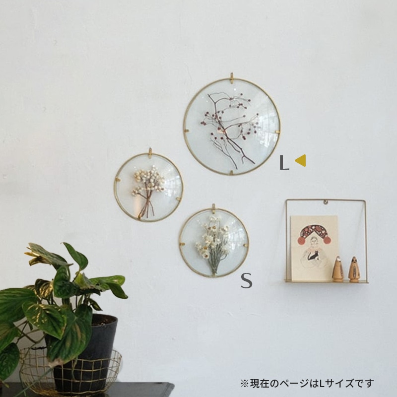 [4589824364957] PIKE Glass Dome Frame CLEAR L �饦��ɥե졼�� ���ꥢ������ ������ ��� ����ƥꥢ��