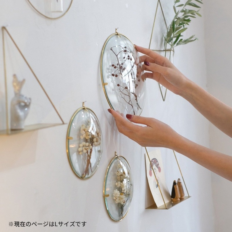 [4589824364957] PIKE Glass Dome Frame CLEAR L �饦��ɥե졼�� ���ꥢ������ ������ ��� ����ƥꥢ��