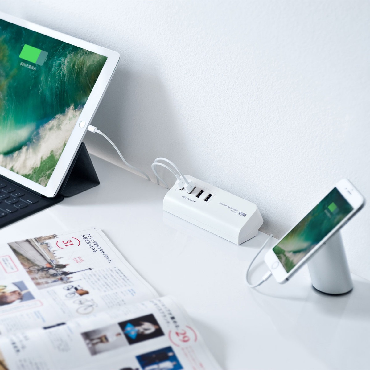 [ACA-IP50W] �����׼�USB���Ŵ�(USB4�ݡ���/�ۥ磻��)