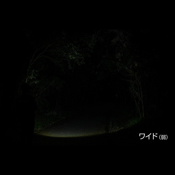 [BAR-1000R] ���ò�������� GENTOS BARREL FLASHLIGHT 1000�롼����