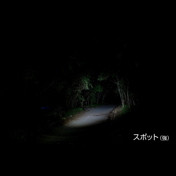 [BAR-1000R] ���ò�������� GENTOS BARREL FLASHLIGHT 1000�롼����