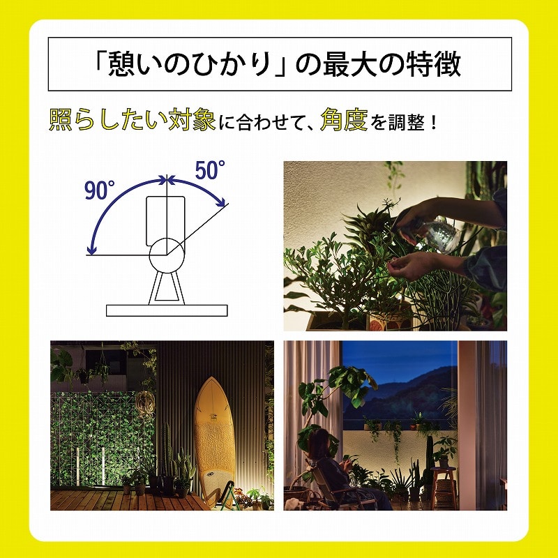 [LGL-LH07P] LEDIUS HOME �Ҥ���Υ١������Ƥ��ΤҤ��� ���å� ������