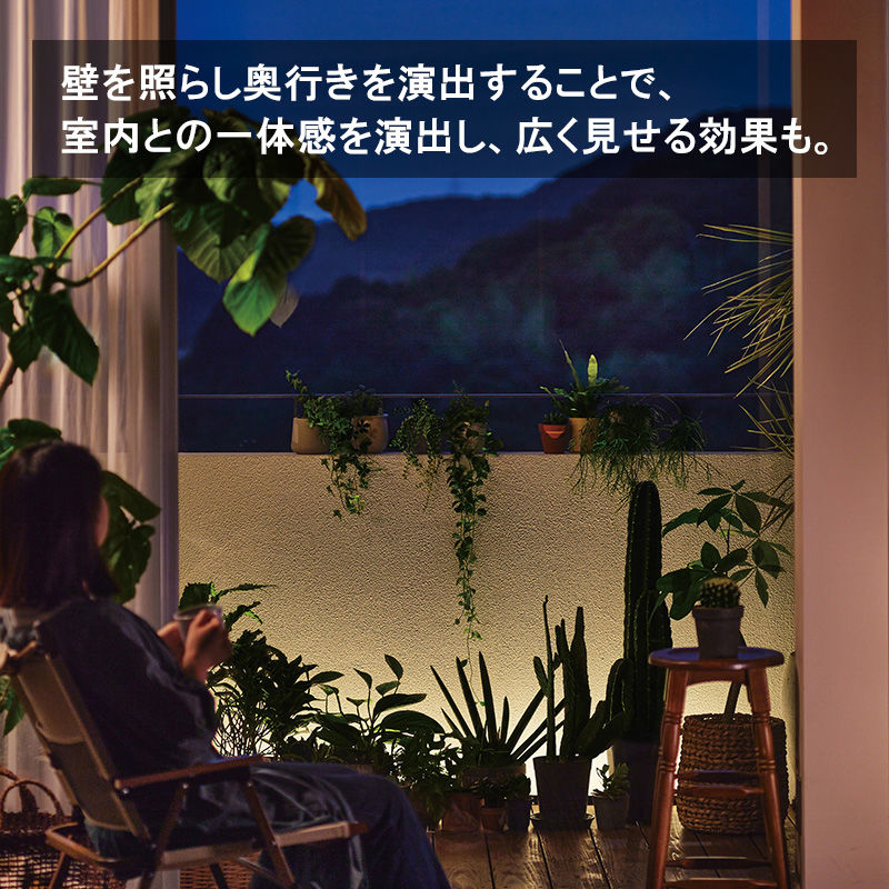 [LGL-LH07P] LEDIUS HOME �Ҥ���Υ١������Ƥ��ΤҤ��� ���å� ������