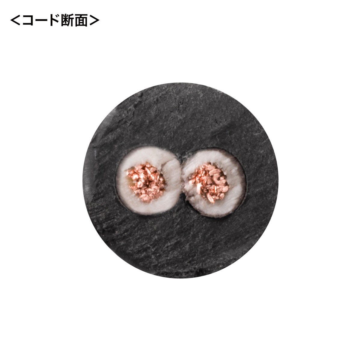 [TAP-EX22-5BK] �Ÿ���Ĺ������
