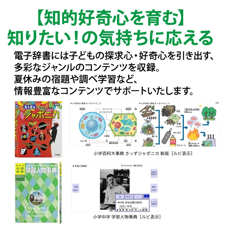 [XD-SX3810WE] �ŻҼ��� EX-word(���������) �����������ǥ� 220����ƥ�� �ۥ磻�ȡ�