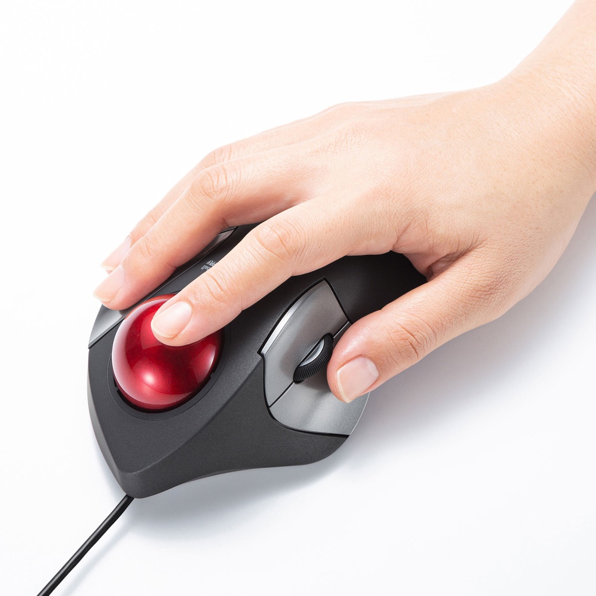 [MA-TB181BK] ͭ���ȥ�å��ܡ���(�Ų���5�ܥ��󡦿ͺ�����/���������)