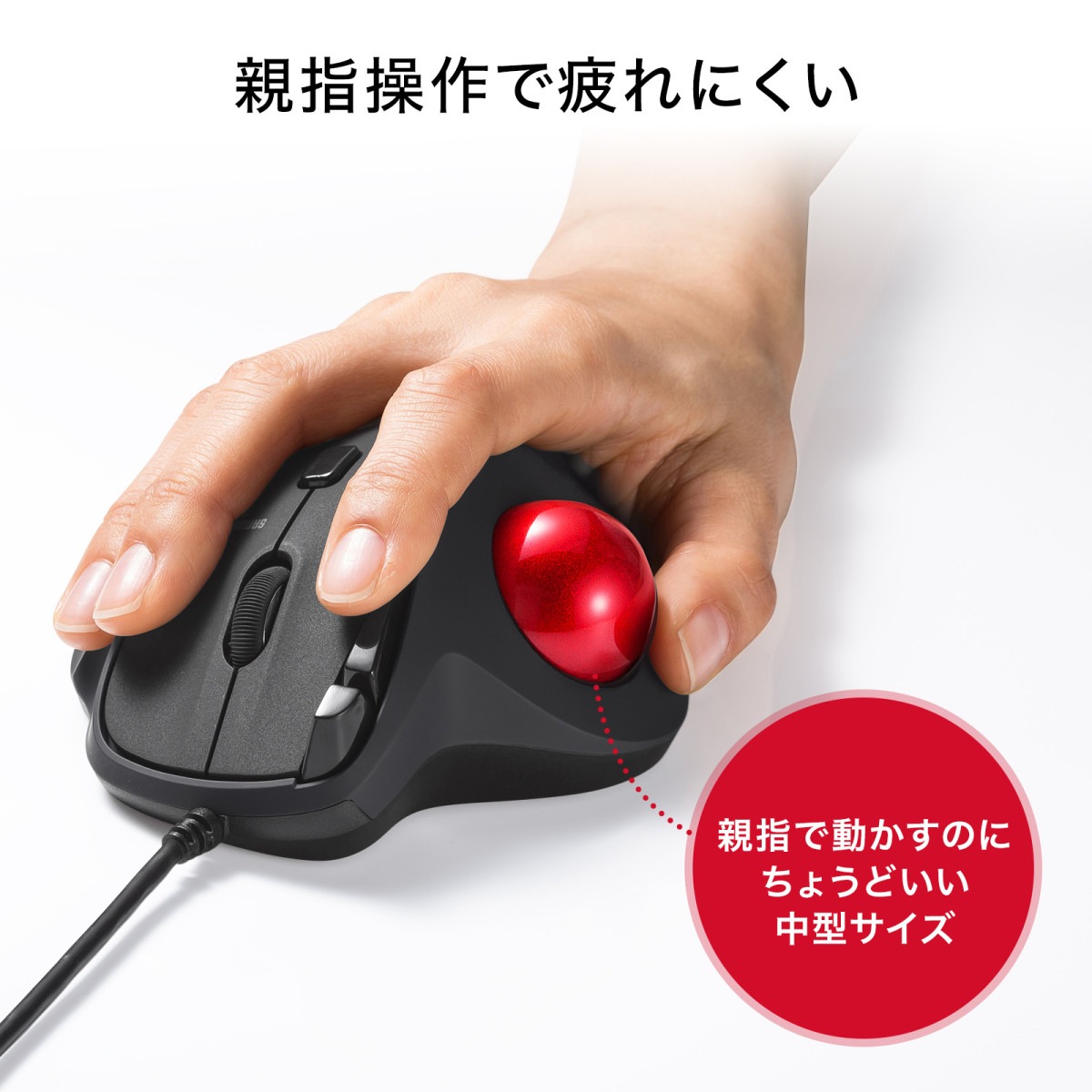 [MA-TB184BK] ͭȥåܡ(Ų5ܥ󡦿ƻ)