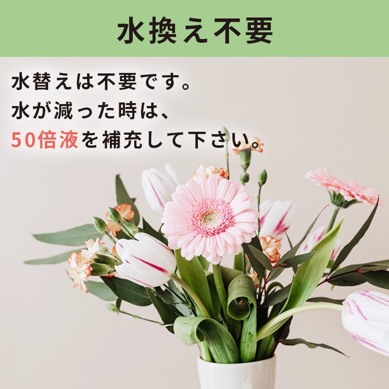 [4970856666001] ���� 150ml