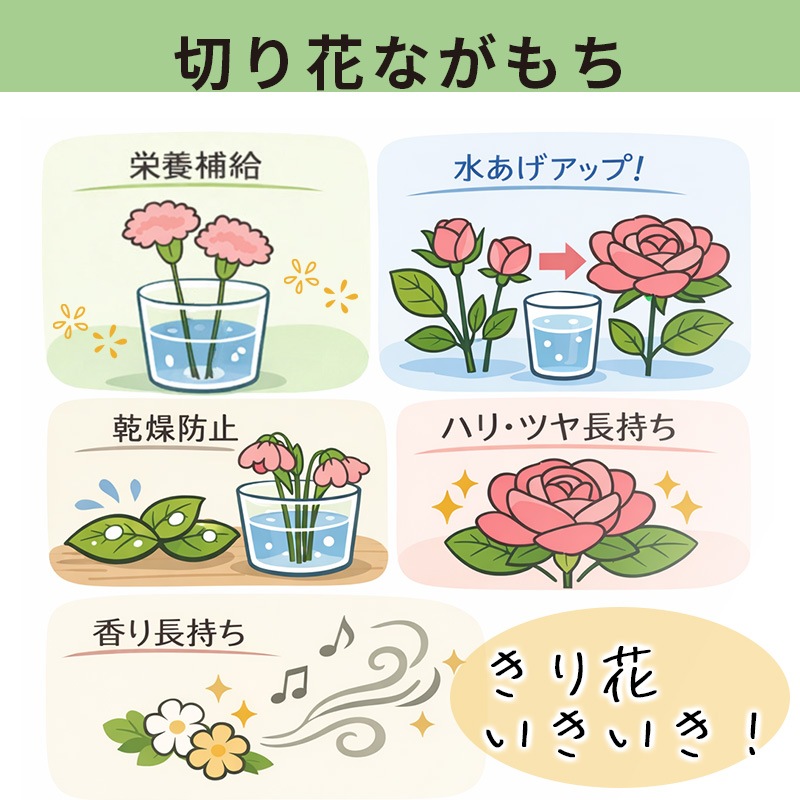 [4970856669101] ���� 320ml