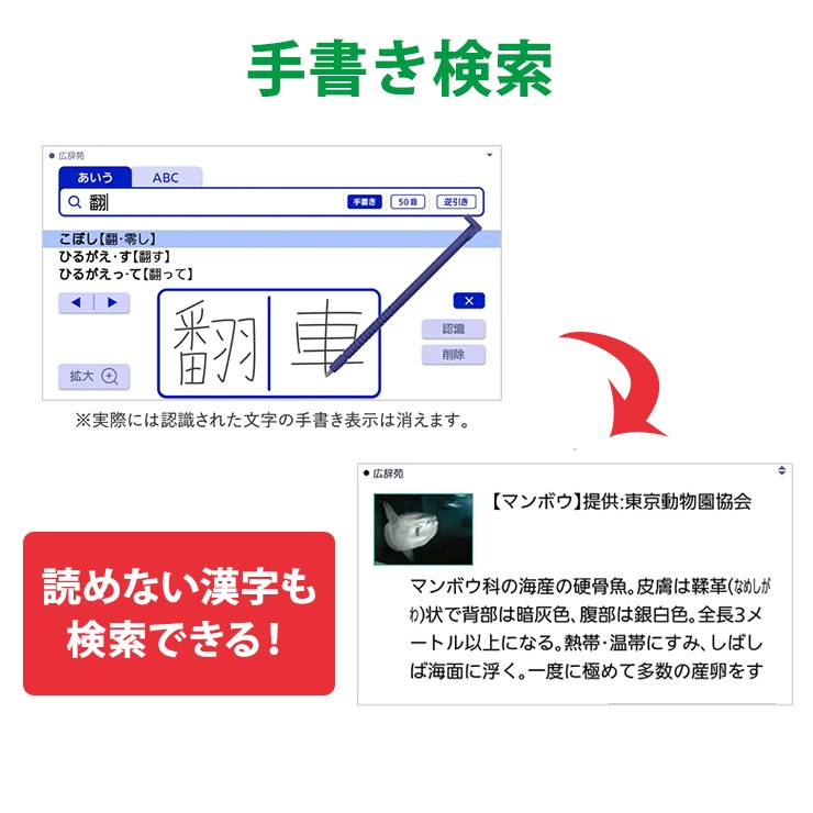 [XD-SX4920WE] �ŻҼ��� EX-word(���������) �⹻�� �Ѹ졦��춯����ǥ� 260����ƥ�� �ۥ磻��