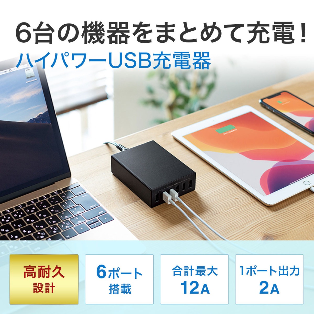 [ACA-IP67BK] USB���Ŵ�(6�ݡ��ȡ����12A���֥�å�)