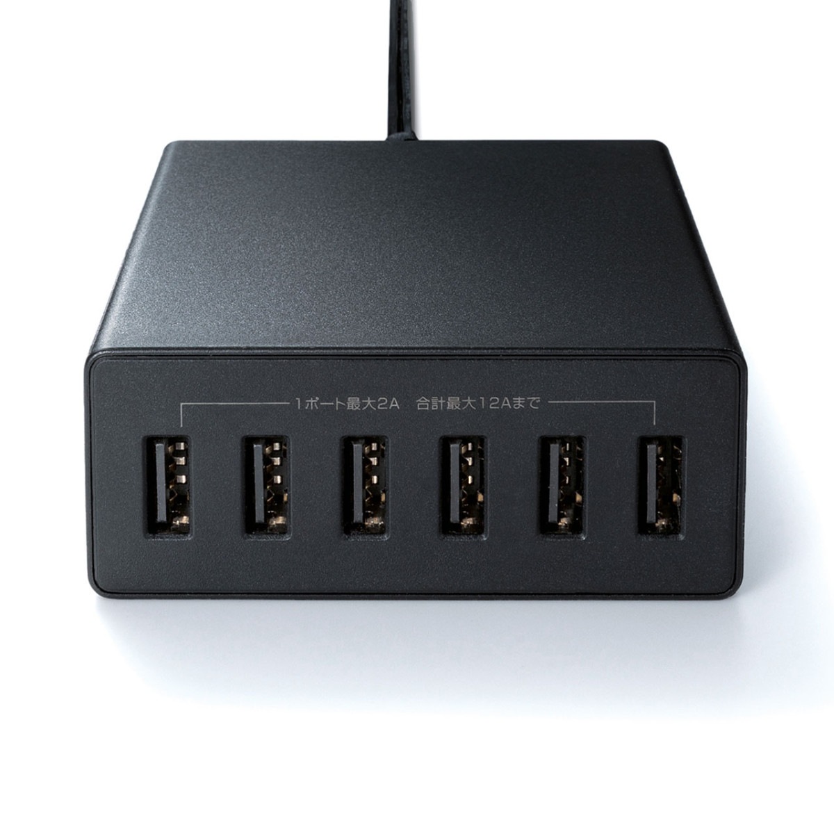 [ACA-IP67BK] USB���Ŵ�(6�ݡ��ȡ����12A���֥�å�)