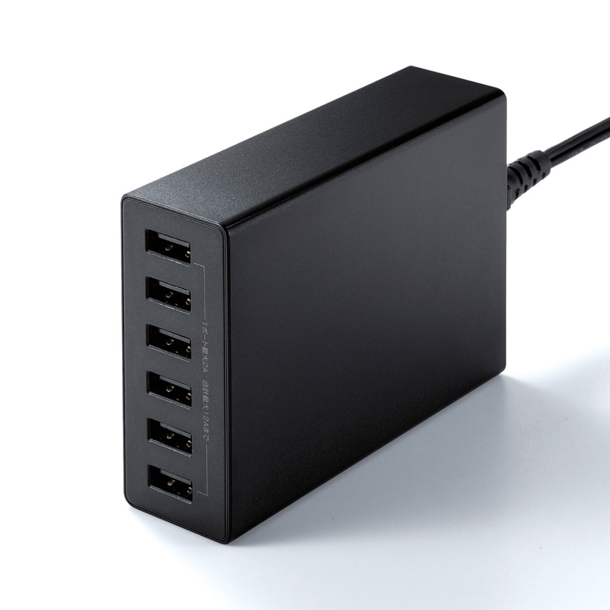 [ACA-IP67BK] USB���Ŵ�(6�ݡ��ȡ����12A���֥�å�)