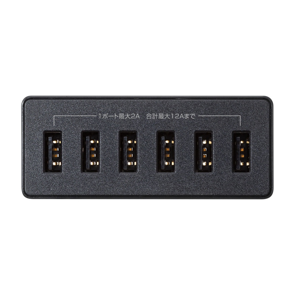 [ACA-IP67BK] USB���Ŵ�(6�ݡ��ȡ����12A���֥�å�)