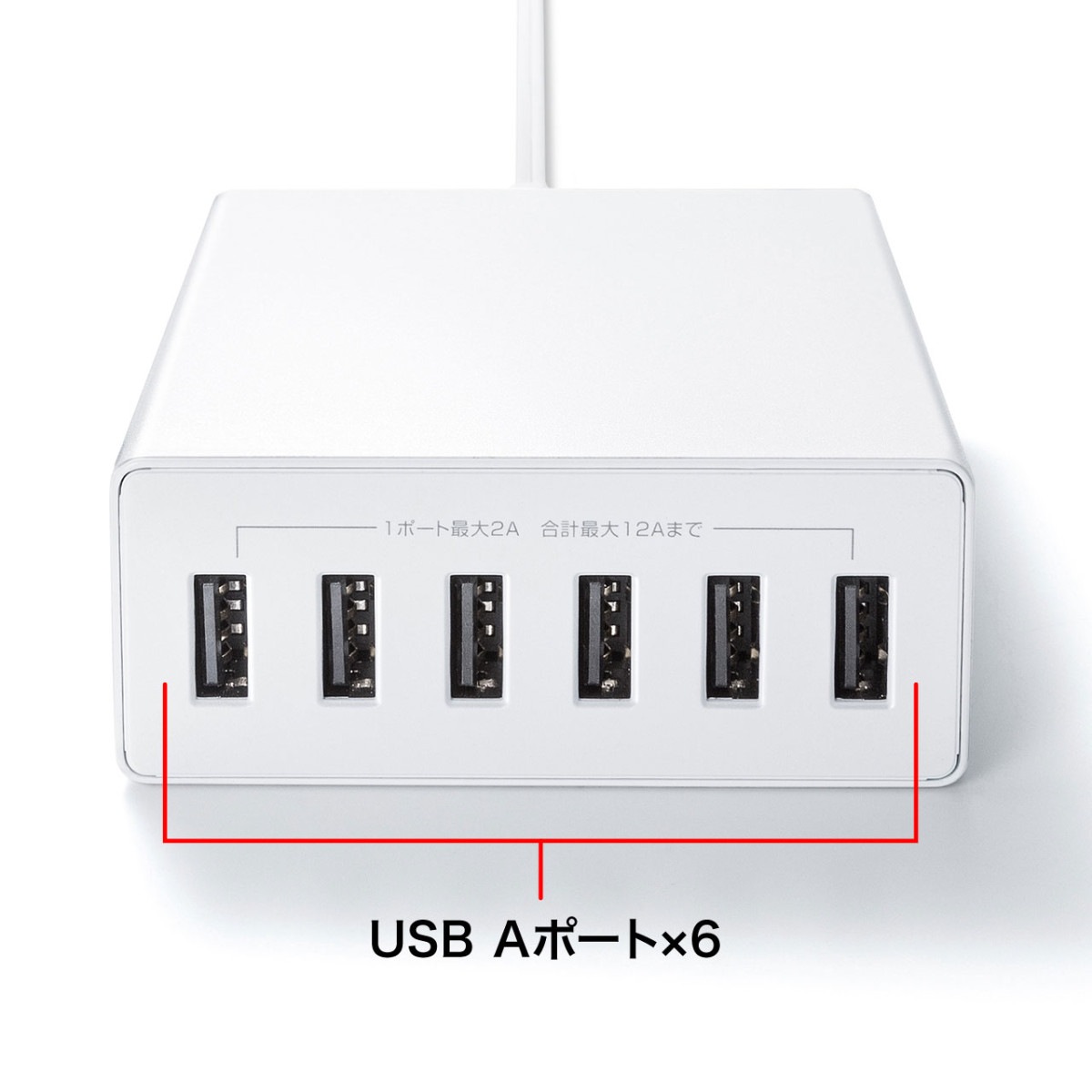 [ACA-IP67W] USB���Ŵ�(6�ݡ��ȡ����12A���ۥ磻��)