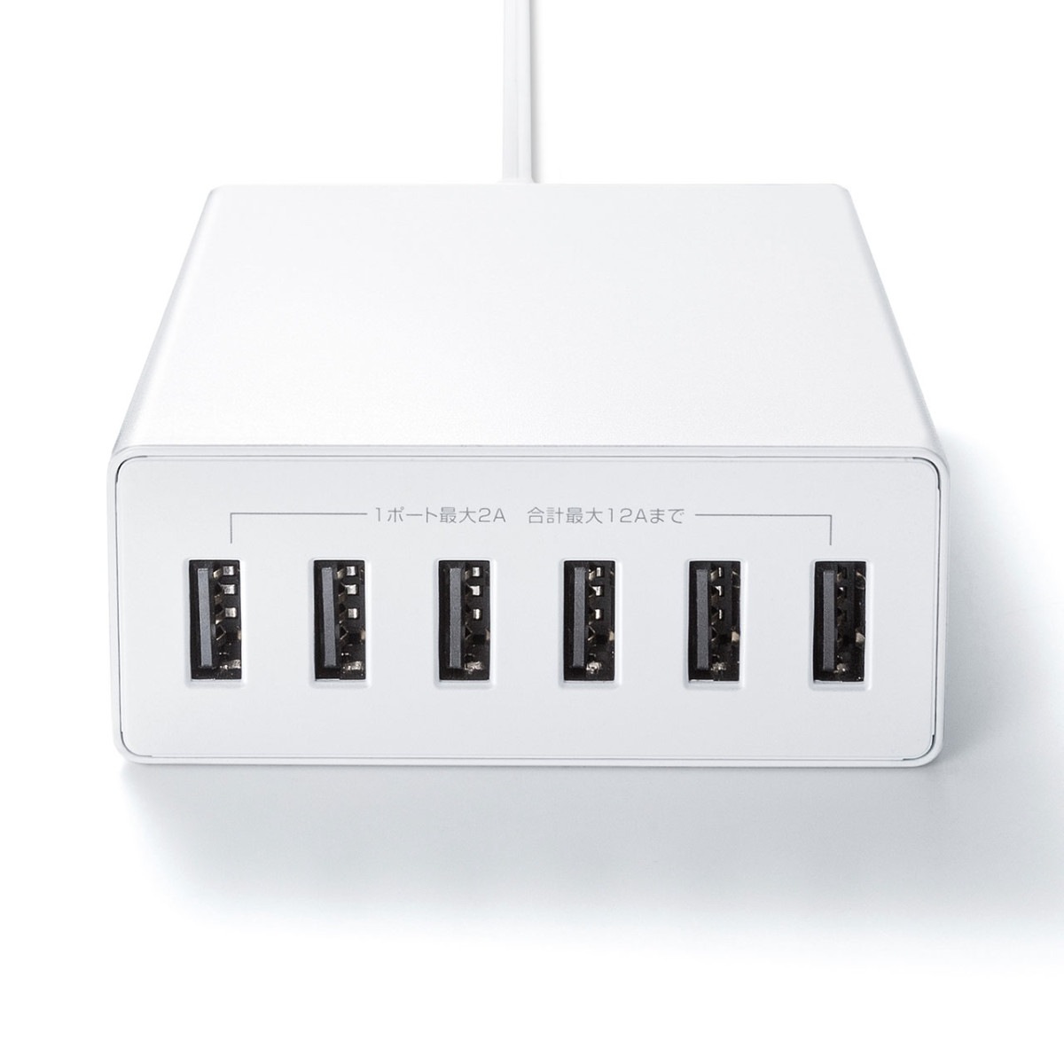 [ACA-IP67W] USB���Ŵ�(6�ݡ��ȡ����12A���ۥ磻��)