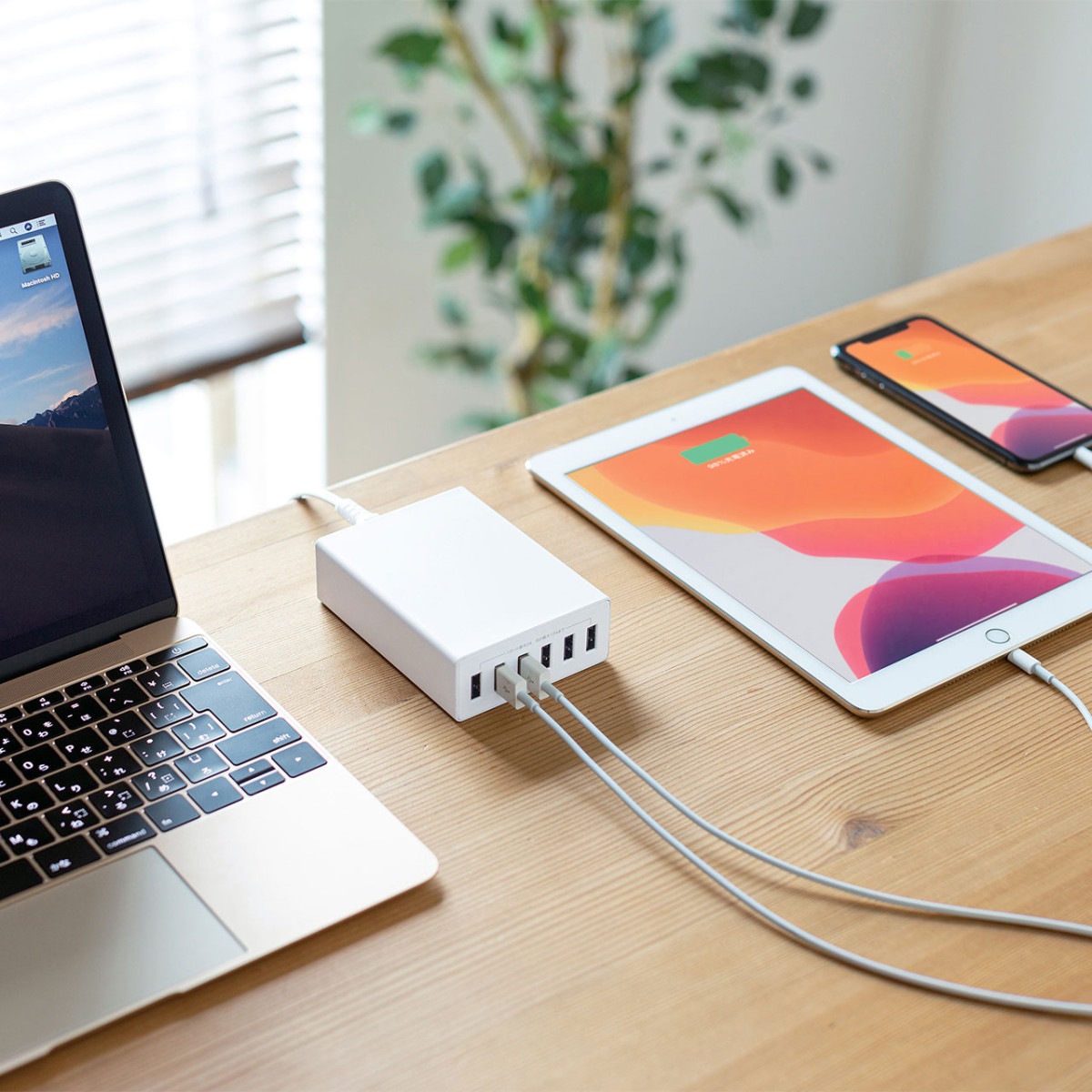 [ACA-IP67W] USB���Ŵ�(6�ݡ��ȡ����12A���ۥ磻��)
