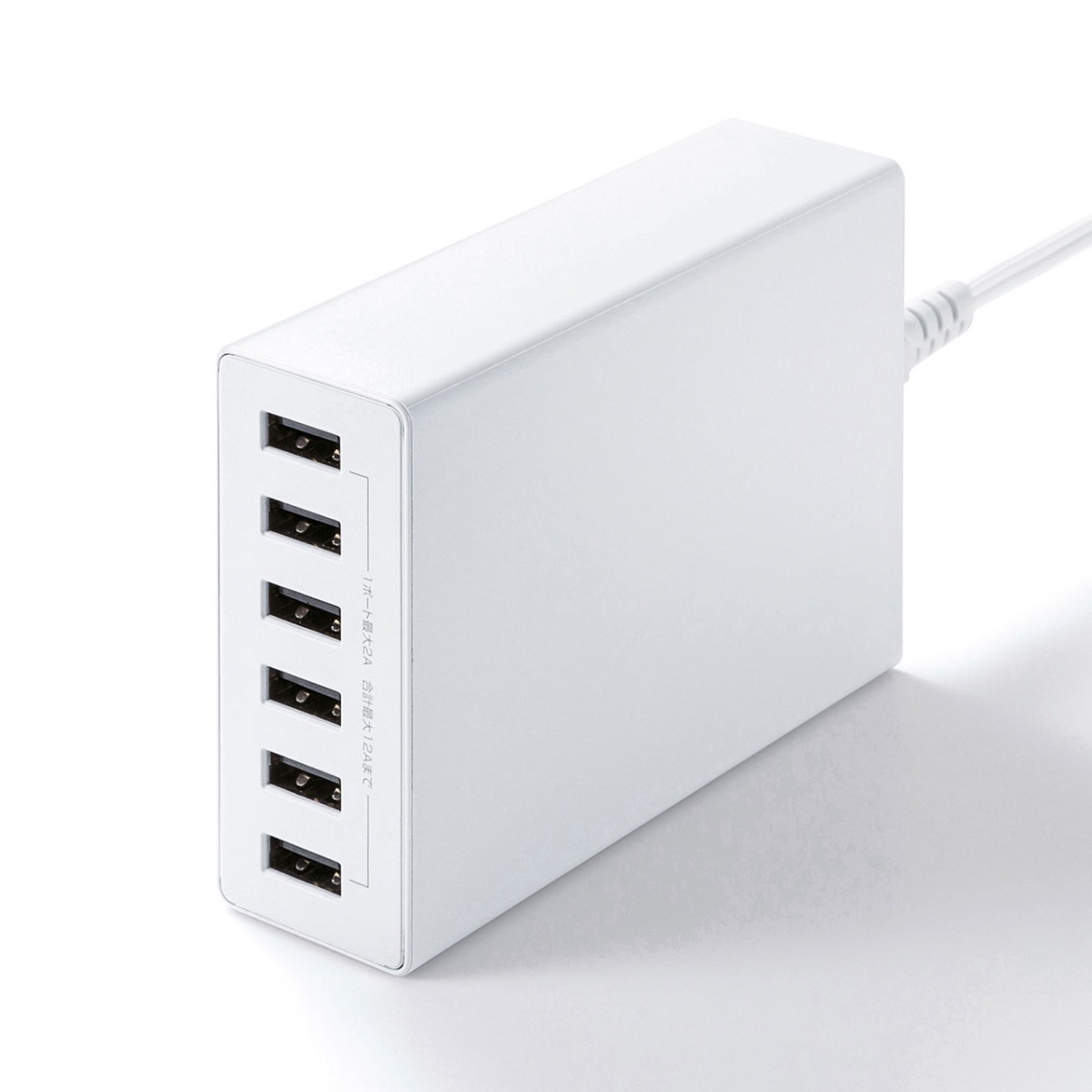 [ACA-IP67W] USB���Ŵ�(6�ݡ��ȡ����12A���ۥ磻��)