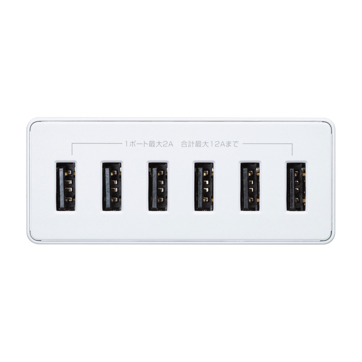 [ACA-IP67W] USB���Ŵ�(6�ݡ��ȡ����12A���ۥ磻��)