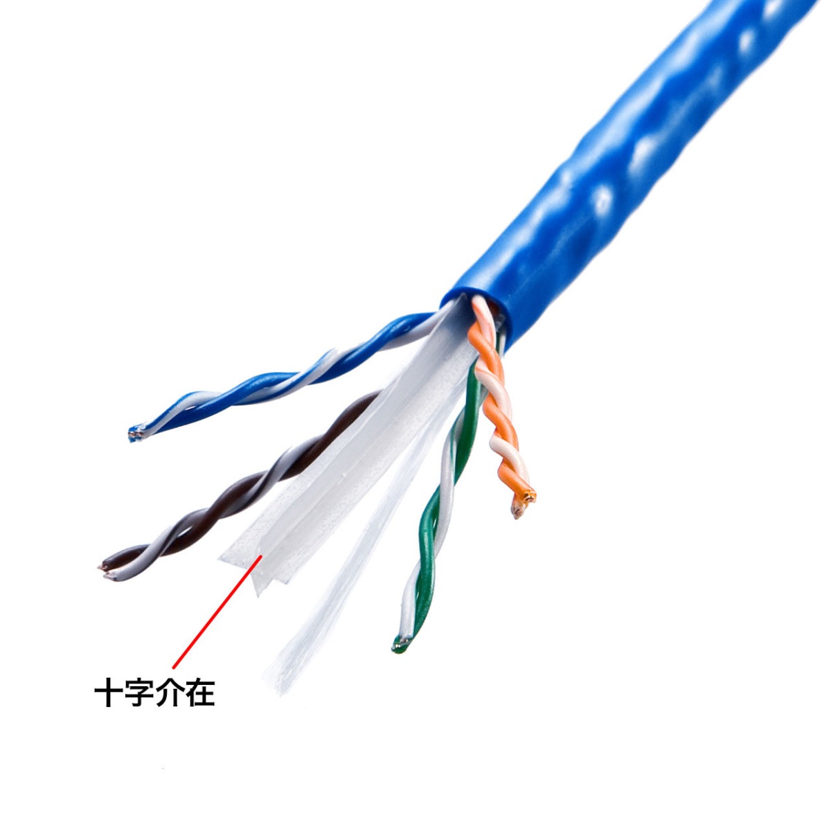 [KB-C6L-CB300BLN] CAT6UTPñ�������֥�Τ�(�֥롼��300m)