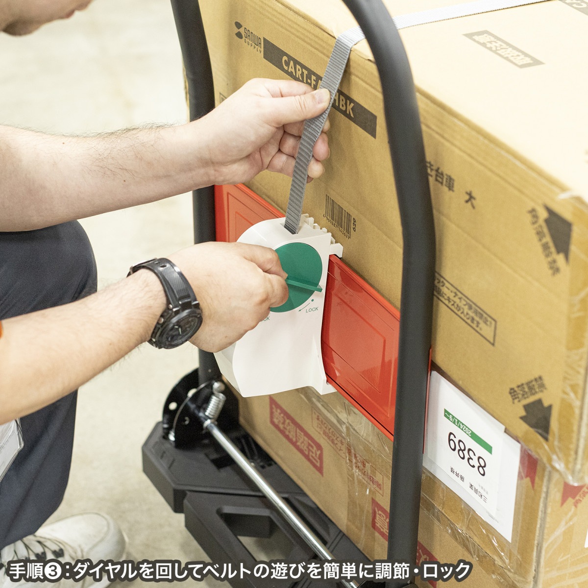 [QL-E100] ��ֲ���ɻߥ٥��