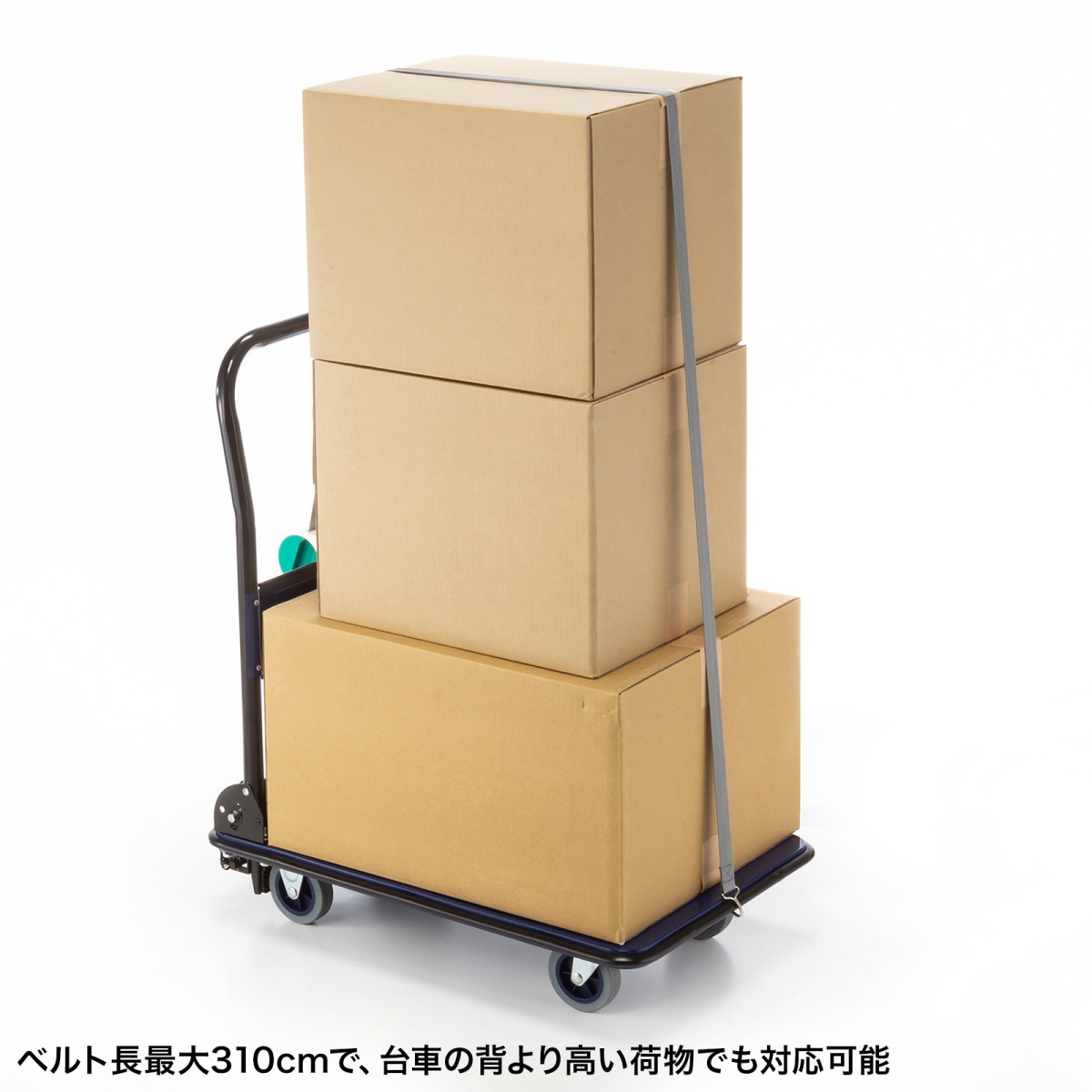[QL-E100] ��ֲ���ɻߥ٥��