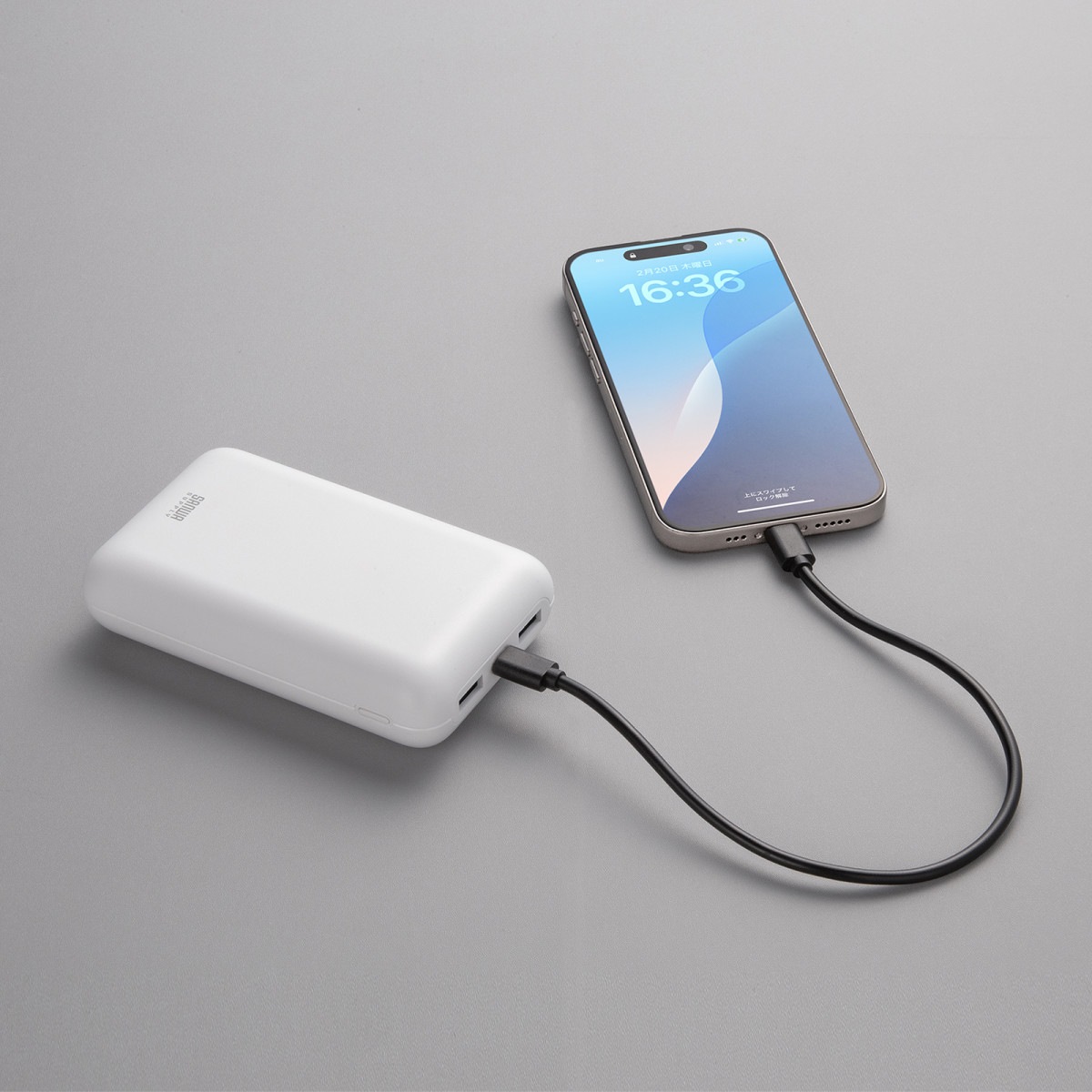 [BTL-RDC39] ��Х���Хåƥ꡼(20000mAh��PD20W) (PSEŬ����)