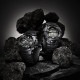 [AWG-M100FP1A1JR] G-SHOCK FIRE PACKAGE 26��